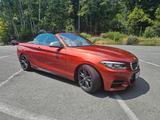 BMW M240i xDrive Cabrio/ACC/Harman/Leder - BMW M240i in Frankfurt (Main)