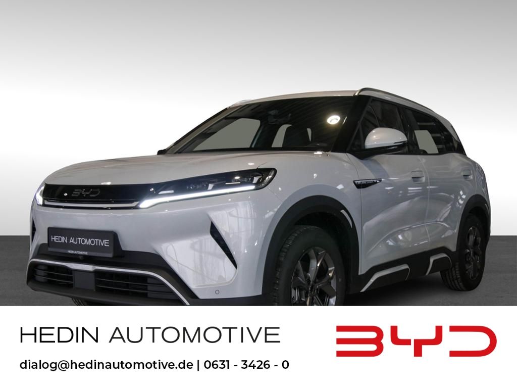 BYD Andere