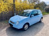 Volkswagen Lupo College - Volkswagen Lupo: College