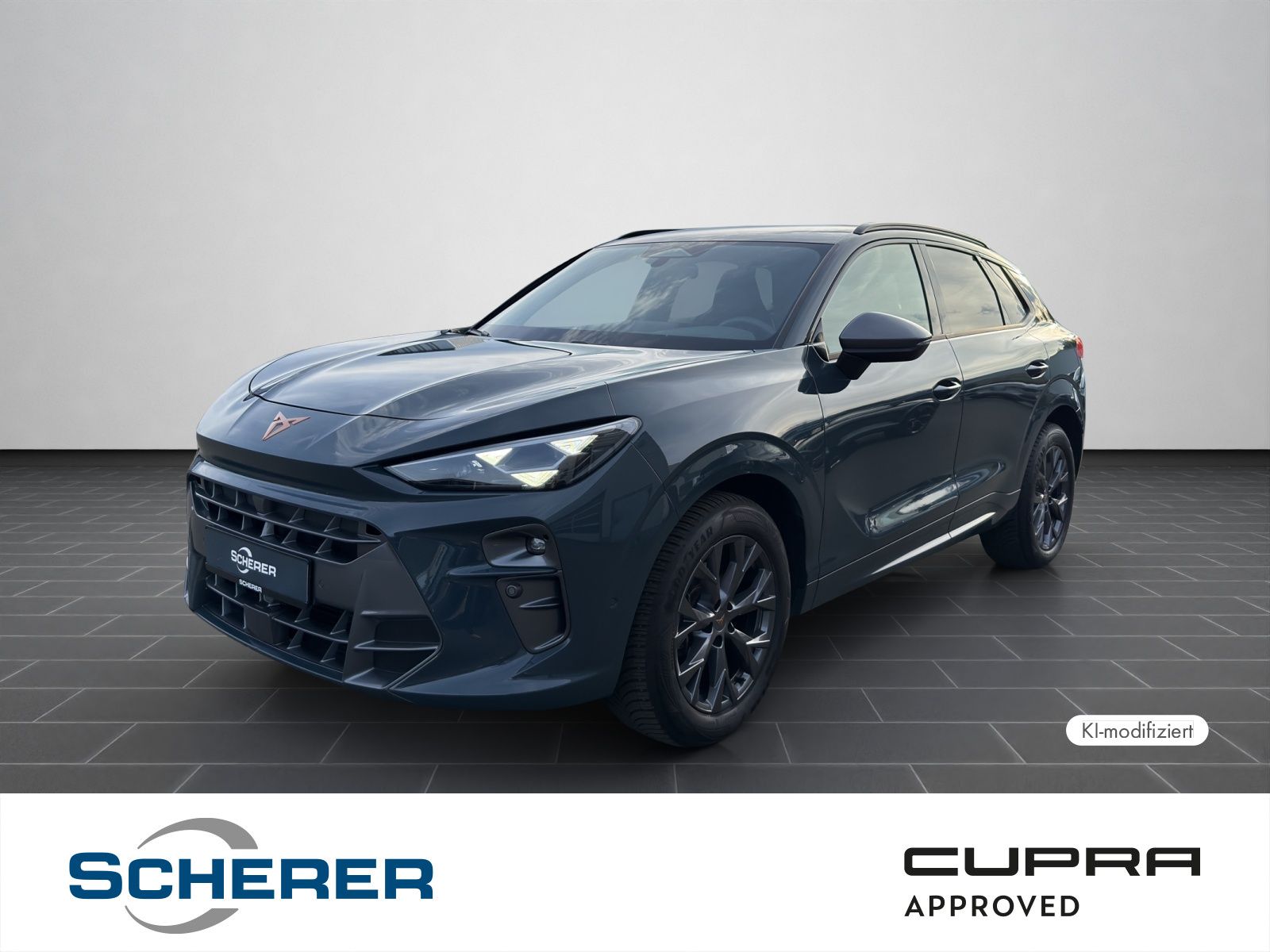 Cupra Terramar 1.5 eTSI DSG 5J-Garantie Sennheiser Mat
