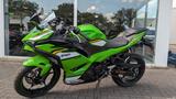 Kawasaki Ninja 500 SE - KAWASAKI NINJA 500