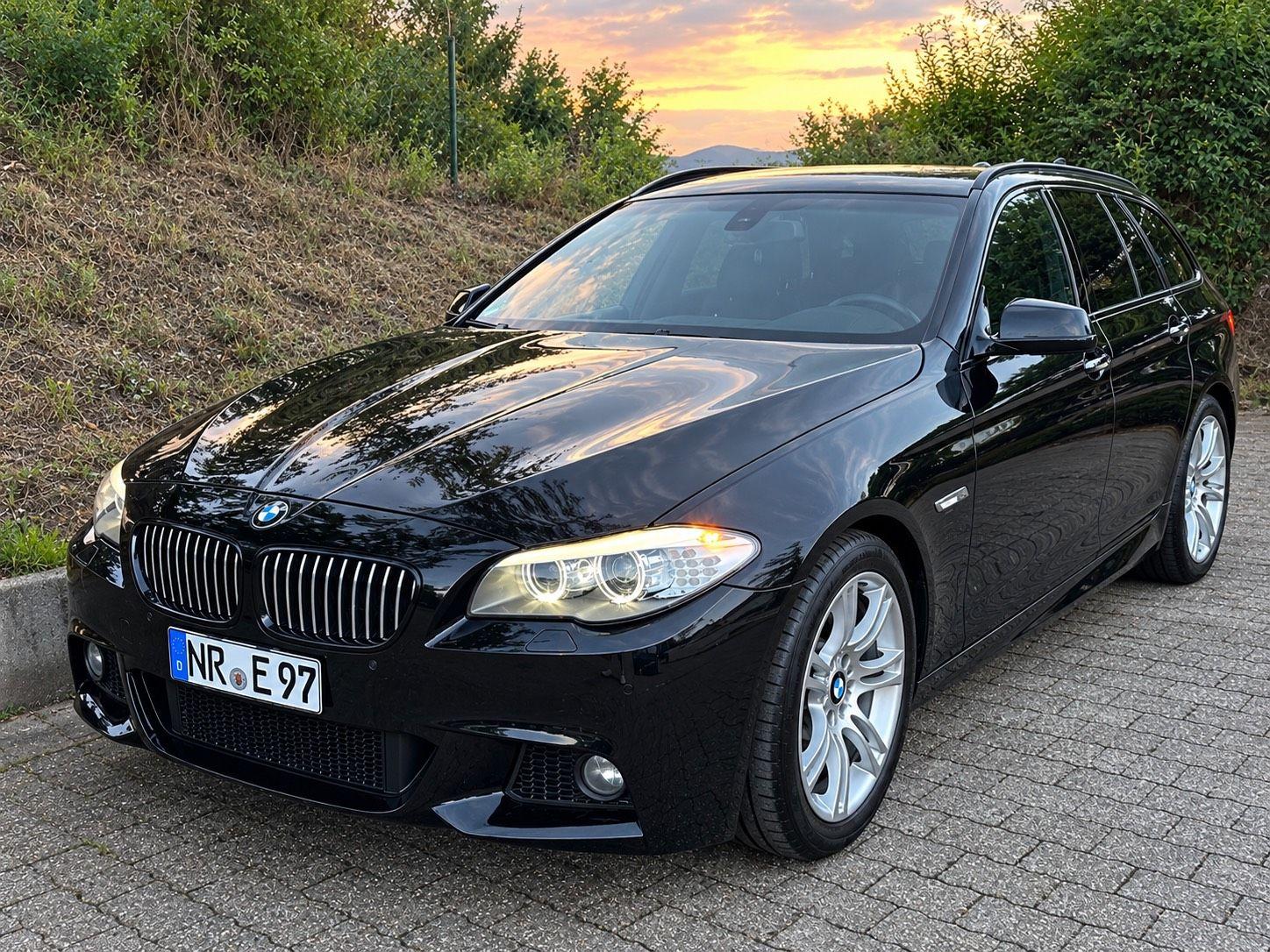 BMW 525 2011 — вигляд ззаду