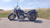 Suzuki VZ 800 Marauder (AF), neue Reifen, TÜV 07/26 - SUZUKI MARAUDER 800