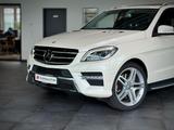 Mercedes-Benz ML 500 AMG *TRAUM*Designo*Distronic+*Memory*AHK* - Mercedes-Benz ML-Klasse mit Benzin-Antrieb