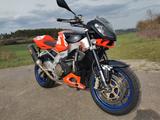 Aprilia Tuono 1000 RR - APRILIA SPORTTOURER