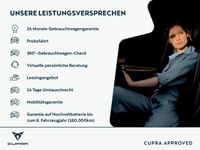 Cupra Terramar - Vorschau Bild 3