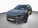 Cupra Terramar 1.5 eTSI 110 kW / Skyline Paket - blaue Cupra Terramar
