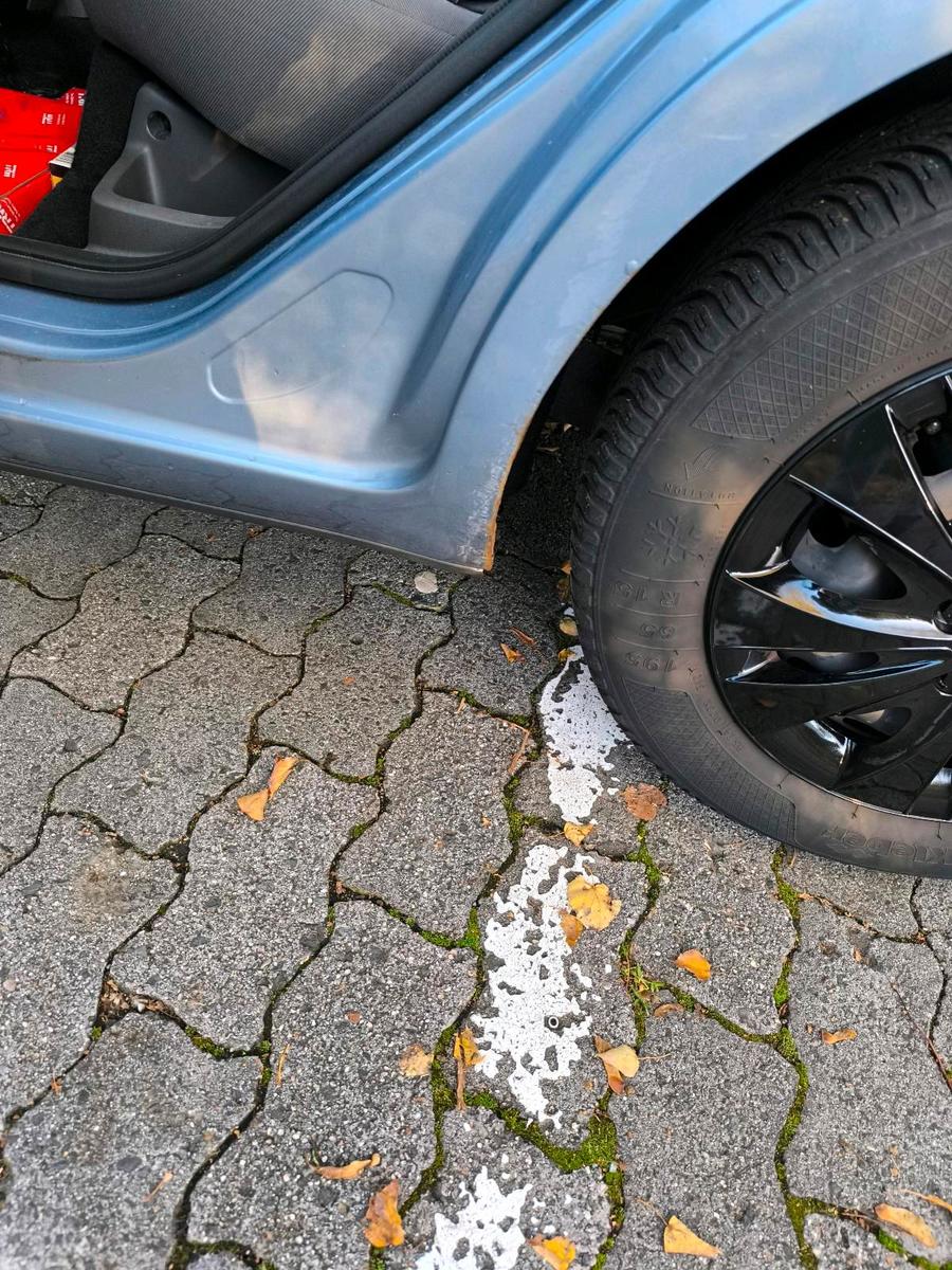 Ford Focus 2006 — photo 6
