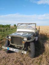 Jeep Willys - Jeep Willys Gebrauchtwagen