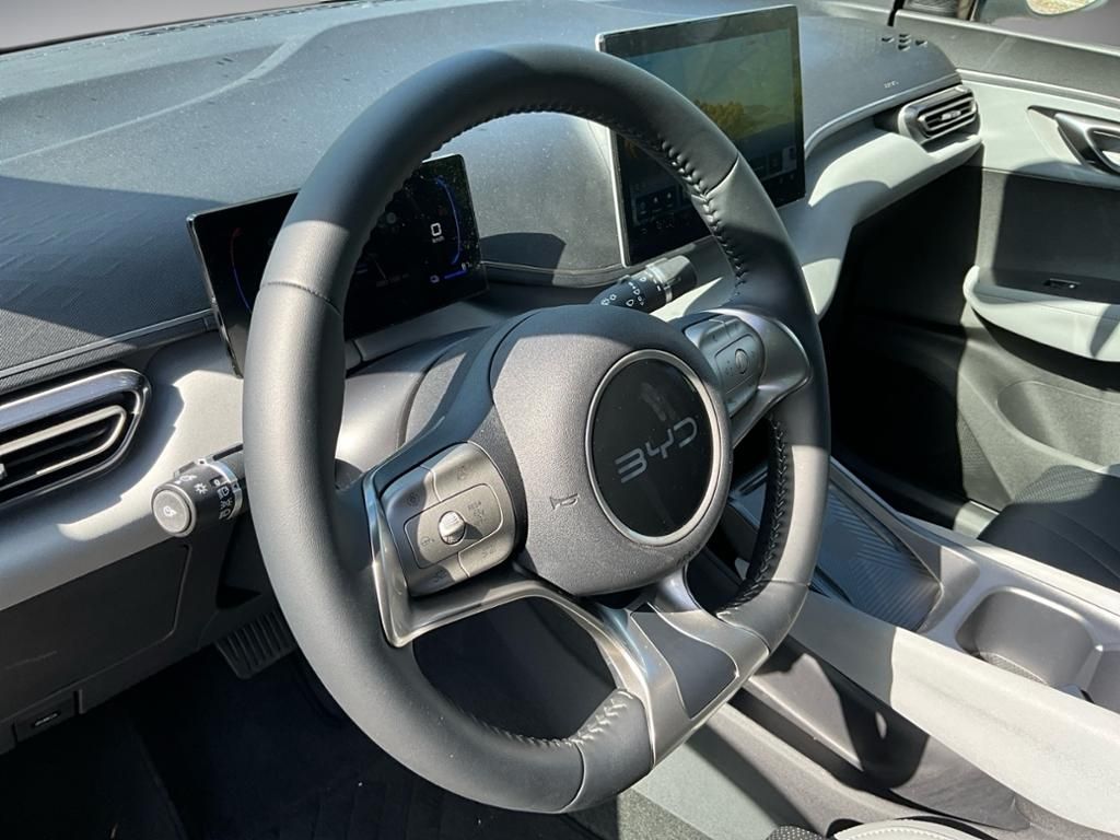 BYD DOLPHIN SURF