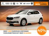 Skoda Fabia Selection 1.0 MPI 5-Gang