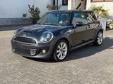 MINI COOPER_SD Mini Cooper SD - MINI MINI mit Diesel-Antrieb: Braun, Leder