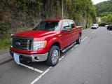 Ford F-150 XLT SuperCrew 4x4 | 5.4 V8 Triton  - Ford F 150: Supercrew