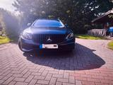 Mercedes-Benz 220 - Mercedes-Benz 220: Leder