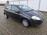 Fiat Punto 1.4 8V Active - Fiat Punto in Freiburg