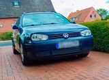 Volkswagen GOLF 4 1.9 TDI ROBUS MOTOR - Volkswagen Golf: Motor TDI