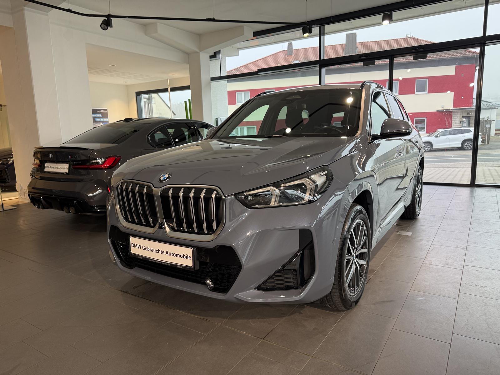 BMW X1 sDrive20i  M Sportpaket Head-Up HK HiFi DAB