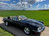 Jaguar XJS 4.0 Cabrio "Celebration" - schwarze Jaguar XJSC