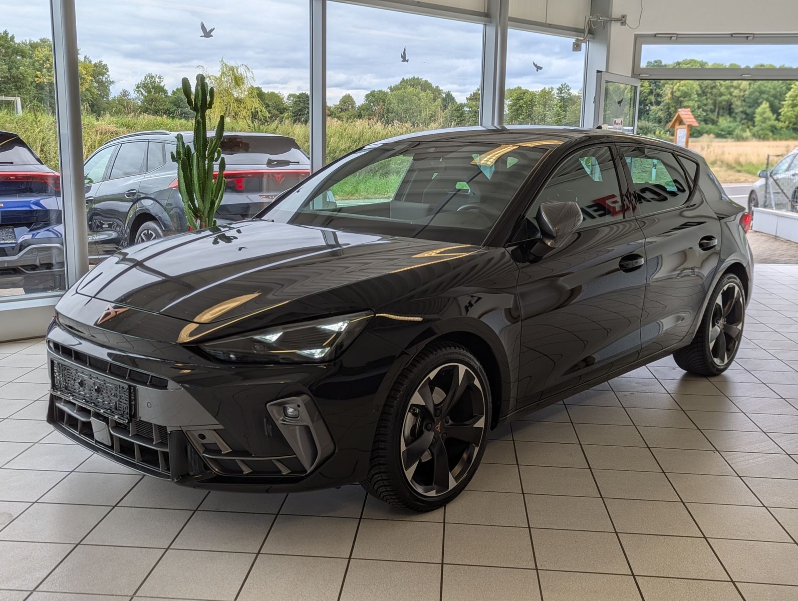 CUPRA Leon 1.5 eTSI Dynamic Edge-Paket Assist-XL Memor - Image 3