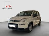 Fiat Panda Hybrid 1.0 GSE + City Paket - Fiat Panda Gebrauchtwagen in Osnabrück