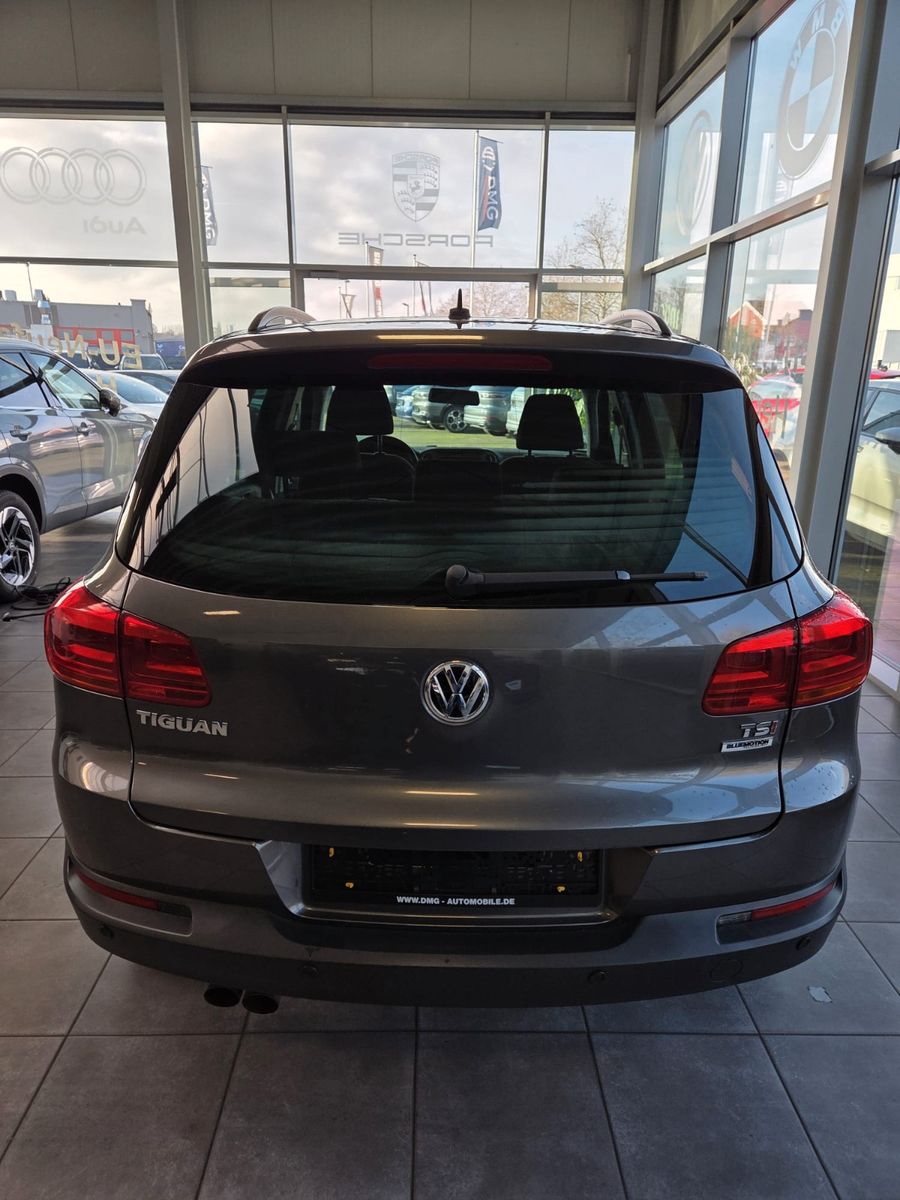 Fahrzeugabbildung Volkswagen Tiguan Trend & Fun BMT