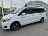 Mercedes-Benz V 250d L*Burmester*Navi*Leder*Sportpaket*Kamera* - Mercedes-Benz V 250 in Frankfurt (Main)