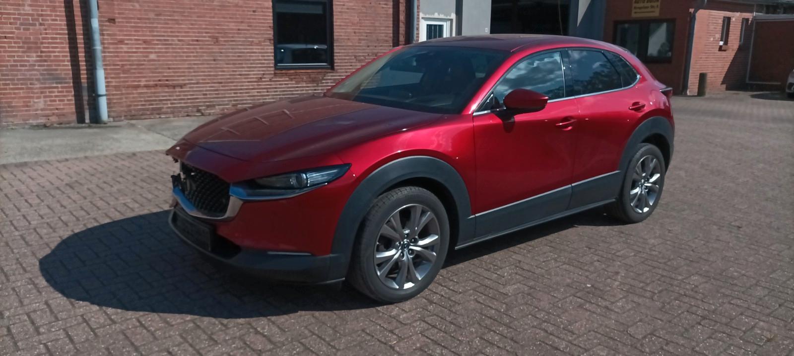 Mazda CX-30 Headup Navi Bose Voll-Leder  e-Hecktur