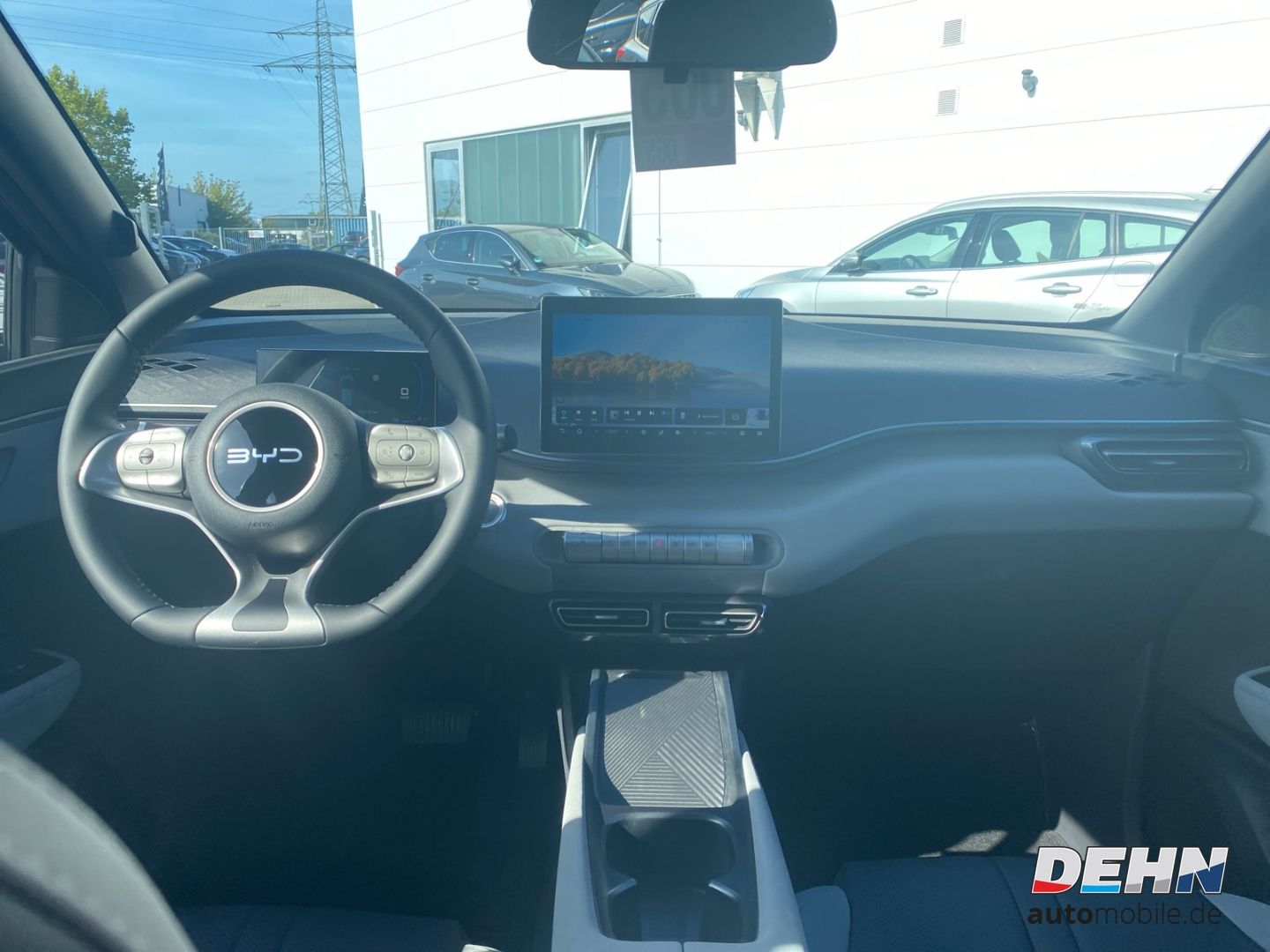 BYD DOLPHIN SURF