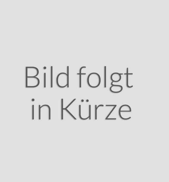 Seat Ibiza 1.0 TSI 85kW FR DSG