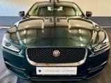 Jaguar XE Portfolio, Kamera, Vollleder, Navi, Automatik - Jaguar: Grün