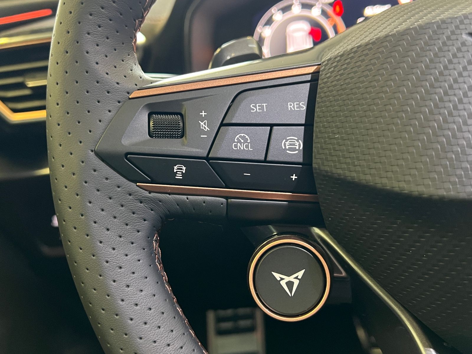 Fahrzeugabbildung CUPRA Formentor VZ 2.0 TSI DSG 4Drive *AHK, LED-Matrix