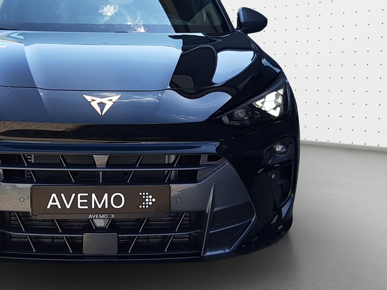 Cupra Terramar - Bild 11