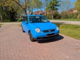 Volkswagen Lupo 1.0 Princeton  - Volkswagen Lupo: Princeton