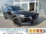 Mazda CX-30 SELECTION PRE-P 360° BOSE Klimaaut Sitzhei - Mazda CX-30 aus 2023