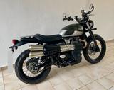 Triumph Street Scrambler - Top-Zustand, Wenig KM - TRIUMPH STREET SCRAMBLER