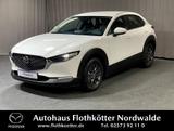 Mazda CX-30 122PS SELECTION*ACTIVE*LED*360° - Mazda CX-30