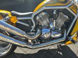 Harley-Davidson V-Rod - 2004 V ROD