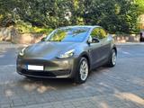 Tesla Model Y Long Range Dual Motor AWD Garantie - Tesla Model Y: Grau