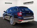 Skoda Octavia Combi Scout *Sthz.,AHK,RFK,TWA* - Skoda: Combi Scout