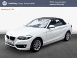 BMW 218i Cabrio Aut. Advantage *SHZ*Navi*