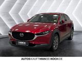 Mazda CX-30 SKY-X 2.0 6 AWD AG LED NAVI HUD 360View SD - Mazda CX-30 Gebrauchtwagen