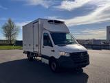 Mercedes-Benz Sprinter 316CDi I Tiefkühlkoffer I Carrier -30 - Angebote