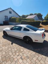 Ford Mustang Shelby GT500 - Ford Mustang aus 2007: Coupe