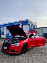 Audi A5 3.0 TDI DTM 1of300 Selten !  - Audi A5: 30 TDI