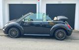 Volkswagen VW Beetle Cabrio Baujahr 2005 Alufelgen, n... - Volkswagen Beetle aus 2005