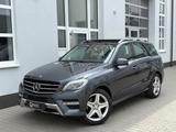 Mercedes-Benz ML 350 CDI AMG *VOLL**MASSAGE*TV*SOFTCLOSE*SOUND - Mercedes-Benz: Ml