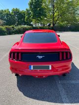 Ford Mustang 2.3 EcoBoost  - Ford Mustang: 2.2