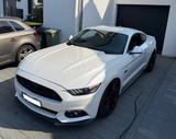Ford Mustang 5.0 V8 Black Shadow/ 1 Hd./DE/Scheckheft - Ford Mustang Gebrauchtwagen in Braunschweig