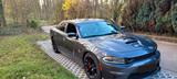 Dodge Charger 6.4L V8  - gebrauchte Dodge Charger aus dem Jahr 2020