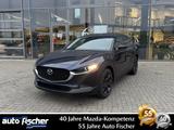 Mazda CX-30 2.0 (186PS) Autom. Homura Rückfahrk. Navi 